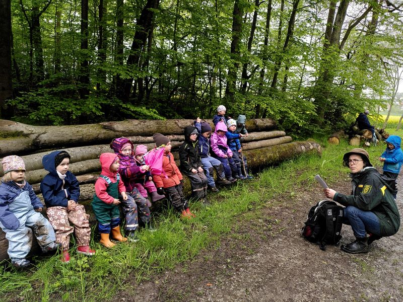 Kinder auf dem Waldspielplatz