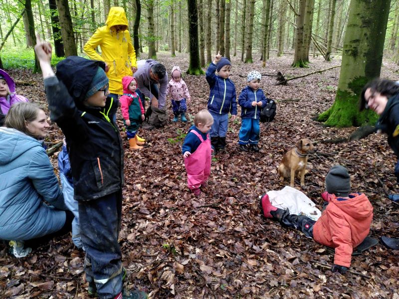 Kinder auf dem Waldspielplatz